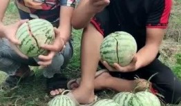 农村美女吃网红瓜